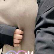 ヒメ日記 2025/06/28 09:59 投稿 ミモザ 飾窓