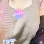 ヒメ日記 2025/06/28 13:00 投稿 ミモザ 飾窓