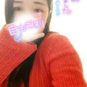 ヒメ日記 2025/06/29 10:41 投稿 ミモザ 飾窓