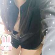 ヒメ日記 2025/06/30 10:15 投稿 ミモザ 飾窓