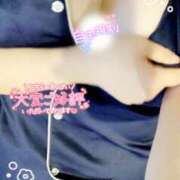 ヒメ日記 2025/07/02 10:00 投稿 ミモザ 飾窓