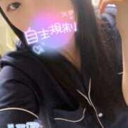 ヒメ日記 2025/07/12 10:00 投稿 ミモザ 飾窓