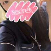 ヒメ日記 2025/07/15 10:07 投稿 ミモザ 飾窓