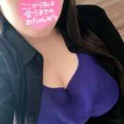 ヒメ日記 2025/07/17 10:00 投稿 ミモザ 飾窓