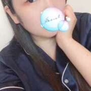 ヒメ日記 2025/07/18 10:00 投稿 ミモザ 飾窓