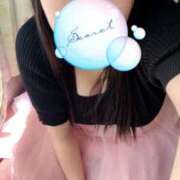 ヒメ日記 2025/07/18 12:30 投稿 ミモザ 飾窓