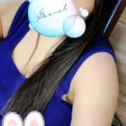 ヒメ日記 2025/07/25 18:06 投稿 ミモザ 飾窓