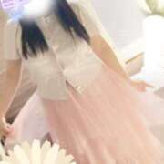 ヒメ日記 2025/07/27 12:32 投稿 ミモザ 飾窓