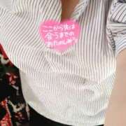 ヒメ日記 2025/07/30 12:00 投稿 ミモザ 飾窓