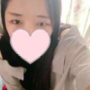 ヒメ日記 2025/08/03 16:00 投稿 ミモザ 飾窓