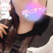 ヒメ日記 2025/08/08 20:00 投稿 ミモザ 飾窓