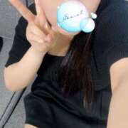 ヒメ日記 2025/08/12 10:00 投稿 ミモザ 飾窓