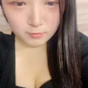 ヒメ日記 2025/08/12 12:00 投稿 ミモザ 飾窓