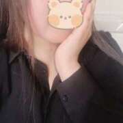 ヒメ日記 2025/08/13 10:09 投稿 ミモザ 飾窓