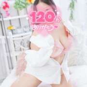 ヒメ日記 2025/08/13 13:30 投稿 ミモザ 飾窓