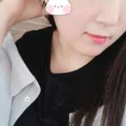 ヒメ日記 2025/08/15 10:50 投稿 ミモザ 飾窓