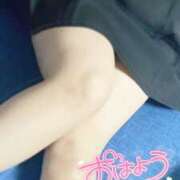 ヒメ日記 2025/08/16 10:04 投稿 ミモザ 飾窓