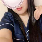 ヒメ日記 2025/08/17 09:30 投稿 ミモザ 飾窓