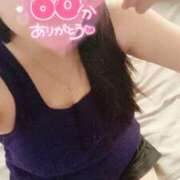 ヒメ日記 2025/08/17 16:32 投稿 ミモザ 飾窓