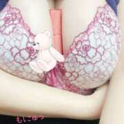 ヒメ日記 2025/08/19 09:30 投稿 ミモザ 飾窓