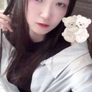 ヒメ日記 2025/08/20 20:00 投稿 ミモザ 飾窓