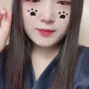 ヒメ日記 2025/08/21 12:00 投稿 ミモザ 飾窓