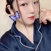 ヒメ日記 2025/08/22 09:31 投稿 ミモザ 飾窓