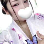 ヒメ日記 2025/08/22 12:00 投稿 ミモザ 飾窓