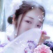 ヒメ日記 2025/08/22 17:30 投稿 ミモザ 飾窓