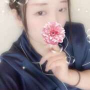 ヒメ日記 2025/08/23 09:32 投稿 ミモザ 飾窓