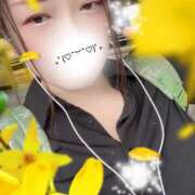 ヒメ日記 2025/08/23 10:00 投稿 ミモザ 飾窓