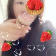 ヒメ日記 2025/08/23 16:00 投稿 ミモザ 飾窓