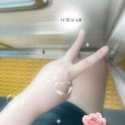 ヒメ日記 2025/08/24 09:30 投稿 ミモザ 飾窓