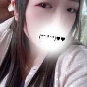 ヒメ日記 2025/08/24 10:30 投稿 ミモザ 飾窓