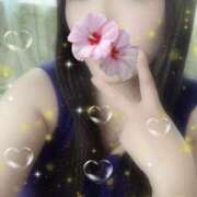 ヒメ日記 2025/08/24 12:30 投稿 ミモザ 飾窓