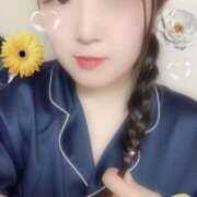 ヒメ日記 2025/08/26 09:30 投稿 ミモザ 飾窓