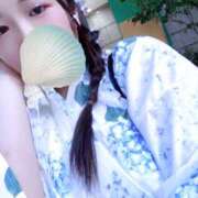 ヒメ日記 2025/08/26 20:30 投稿 ミモザ 飾窓