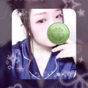 ヒメ日記 2025/08/27 09:30 投稿 ミモザ 飾窓