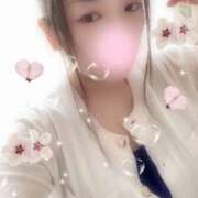 ヒメ日記 2025/08/27 10:00 投稿 ミモザ 飾窓