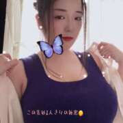 ヒメ日記 2025/08/27 12:00 投稿 ミモザ 飾窓