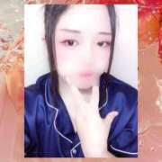 ヒメ日記 2025/08/28 09:30 投稿 ミモザ 飾窓