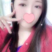 ヒメ日記 2025/08/28 10:30 投稿 ミモザ 飾窓