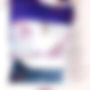 ヒメ日記 2025/08/28 13:30 投稿 ミモザ 飾窓