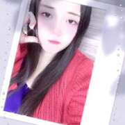 ヒメ日記 2025/08/28 20:10 投稿 ミモザ 飾窓