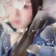 ヒメ日記 2025/08/29 09:30 投稿 ミモザ 飾窓