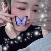 ヒメ日記 2025/08/29 18:30 投稿 ミモザ 飾窓