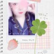 ヒメ日記 2025/08/31 09:30 投稿 ミモザ 飾窓