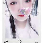 ヒメ日記 2025/08/31 10:02 投稿 ミモザ 飾窓