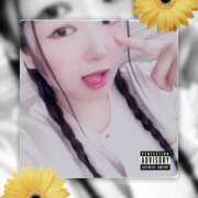 ヒメ日記 2025/08/31 13:00 投稿 ミモザ 飾窓