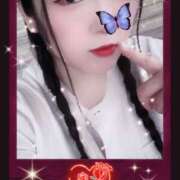 ヒメ日記 2025/08/31 16:00 投稿 ミモザ 飾窓